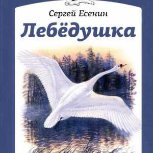 Произведение есенина "лебедушка". Как поэт относится к лебедушке?
