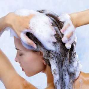 Protiplísňový šampon: typy, výrobce, ceny, hodnocení