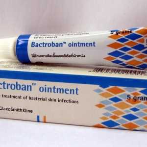 Antimikrobiální mast „Bactroban“: Návod k použití