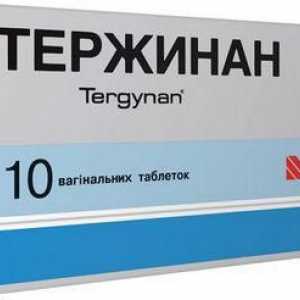 Antimikrobiální látky. Návod k použití „Terzhinan“