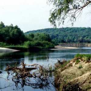 Псел - река Восточно-Европейской равнины. Географическое описание, хозяйственное использование и…