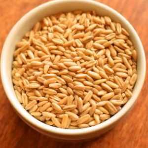 Pšeničné cereálie v multivarka „Redmond“: vaření tajemství