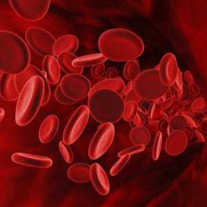 RBC: analýza krve, dekódování, rychlost a hodnotu. Normální rychlost červených krvinek (RBC) v krvi