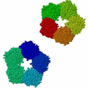 C-reaktivní protein: rychlost a zvýšení krevního