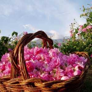 Nejkrásnější údolí růží ve světě. Bulharsko a jeho zajímavosti