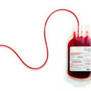 Dárcovství krve v dárcovství: pravidla, přípravu podmínek, účinky