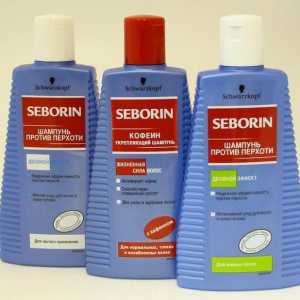 "Seborin" (šampon): recenze, složení, typy