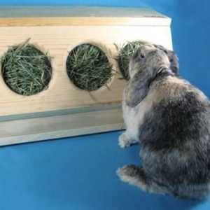 Senik - zařízení pro králíky. Jaké jsou Senik a jak se jim dělat sám?