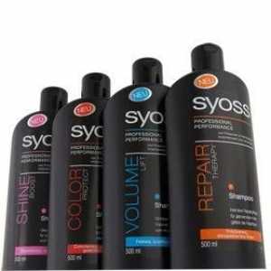 Šampon „Cieza“: hodnocení odborné péče o vlasy