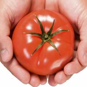 Сибирская селекция томатов - особенности и достоинства. Лучшие сорта томатов сибирской селекции
