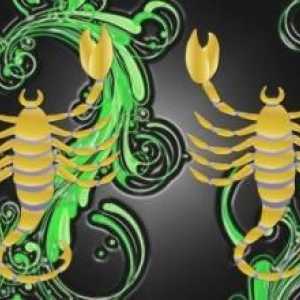 Scorpions-žena v lásce: magnetismus a podvod