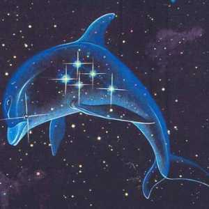 Созвездие дельфин - маленькое, но интересное