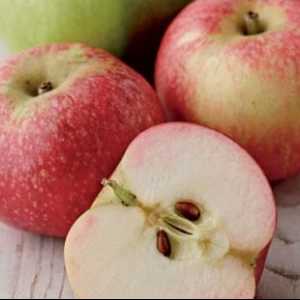 „Spartan“ - odrůda jablek s kanadským znakem