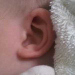 Článek o tom, jak se umýt ucho doma