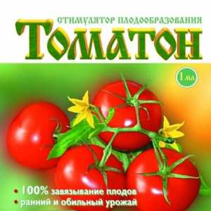Стимулятор плодообразования "томатон": отзывы и рекомендации