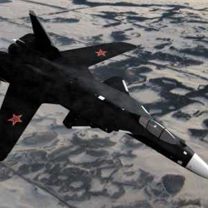 Су-47 "беркут": фото, характеристики. Почему закрыли проект?