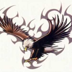 Tetování „Eagle“ - symbol svobody a odvahy