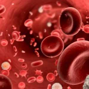 Krevní destičky: normou. Krevních destiček v těhotenství