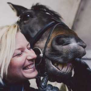 Ученые говорят, что лошадь улыбается и гримасничает, как человек!
