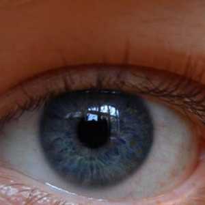 UV Eye Research Institute. Ufa Výzkumný ústav očních chorob