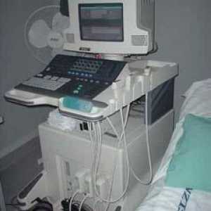 Ultrazvukové vyšetření: popis postupů a typů