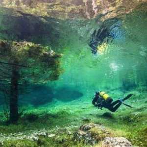 Уникальное Зеленое озеро: подводный мир посреди Австрии
