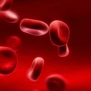 Hladina hemoglobinu v krvi: norma a patologie