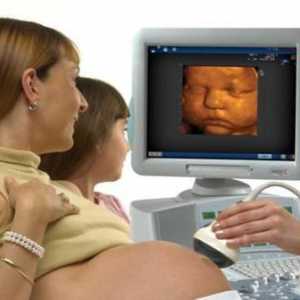 3D ultrazvuk v průběhu těhotenství