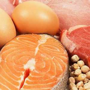 Které potraviny obsahují proteiny: fakta zdravé výživy
