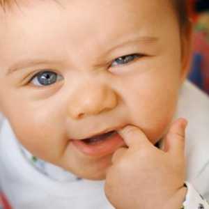 V jakém pořadí stoupání zubů u dětí a v jakém věku? Existují nějaké výjimky?