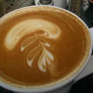Druhy kávových nápojů a jejich vlastnosti