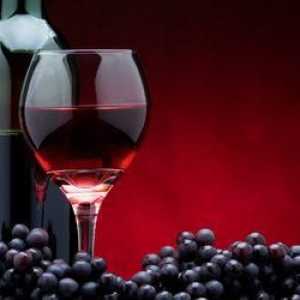 Víno z hroznů modré v domácnosti. Výroba vína