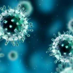 Virus H1N1: Příznaky, léčba a prevence