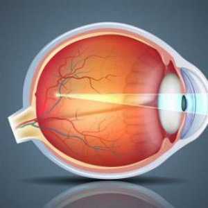 Vitamin kapky pro vaše oči - což je lepší pro glaukom, krátkozrakost. Jaké jsou nejlepší vitaminové…