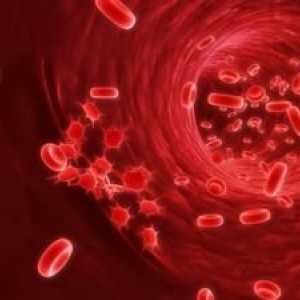 Vnitřní krvácení: Příznaky a typy