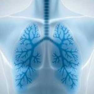 Pneumonie: Příznaky (bez horečky). Jaké jsou příznaky zápalu plic