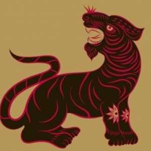 Oriental horoskop a jeho funkce: tygr-žena a tygr-man - kompatibilita je k dispozici?