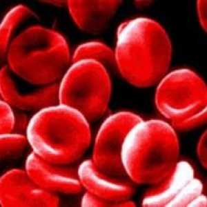 Proč potřebuji znát identifikaci krevní skupinu?