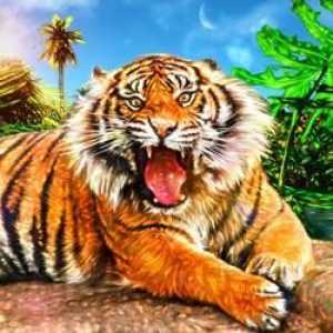 Podívejte se na výklad snu: co sní tygr?