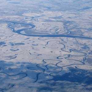 Западно-Сибирская равнина: природа, климат и другие сведения