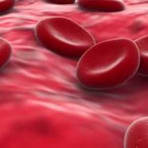 Zdravá strava: třetí skupina krve