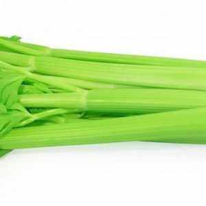 Zelená celer: užitečné vlastnosti a kontraindikace
