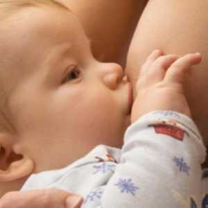 Život po porodu: kojení je dietní potraviny